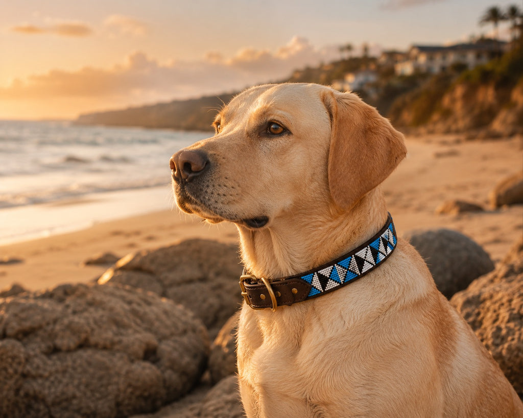 Savanna Lagoon Collar